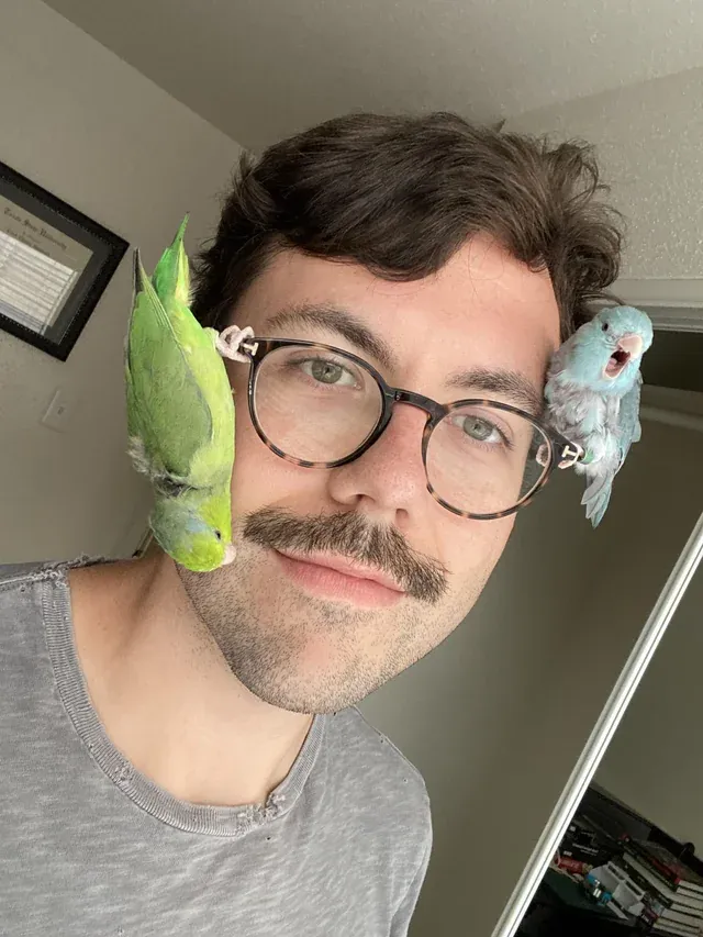 «Леди Бёрд без ума от моих усов, а Блю Белл нравится просто кричать».