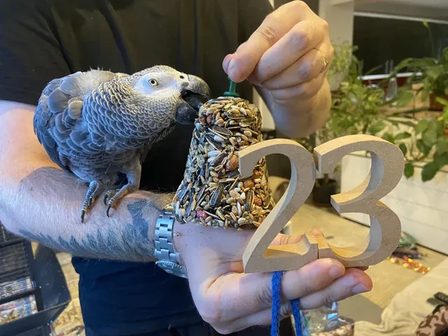 Поздравляю мою красавицу с 23-летием».