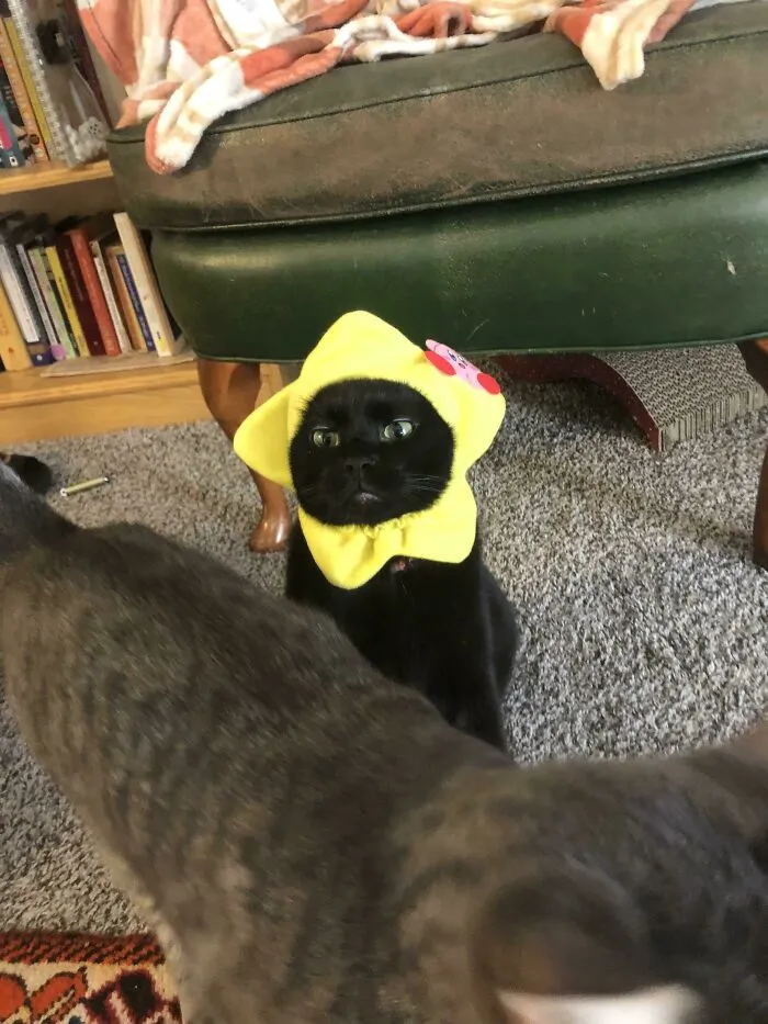 «Он не даст мне снять это».