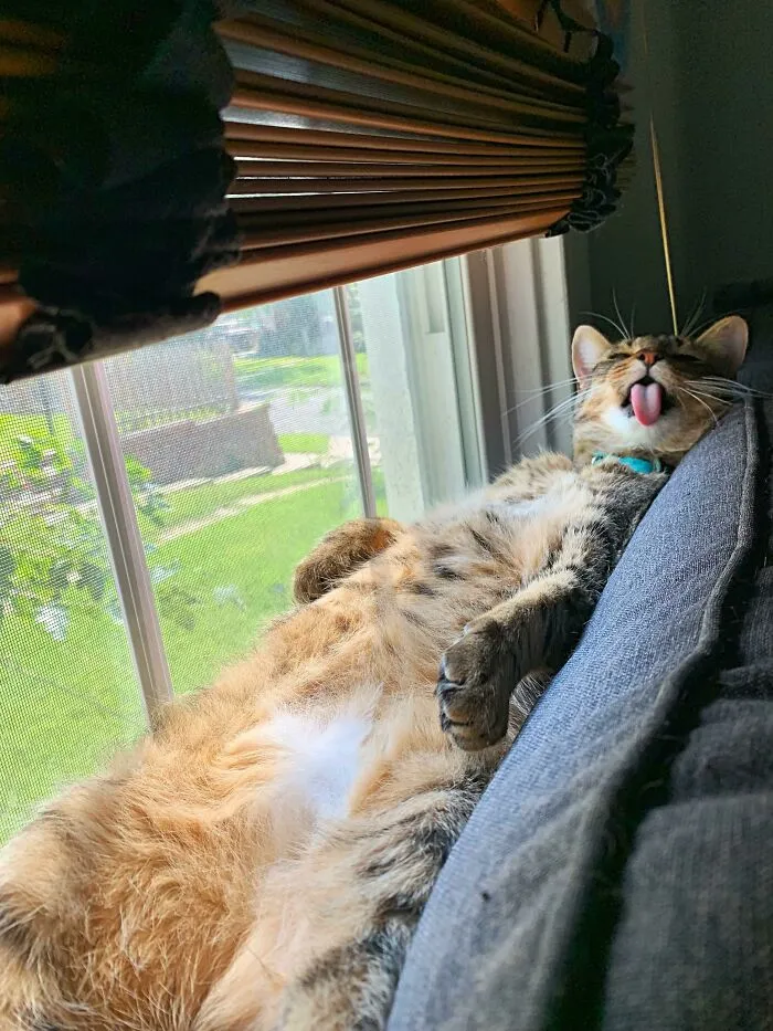 «Антонио любит греться».