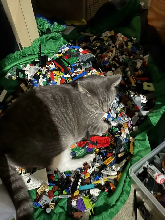 «Отличная кровать».