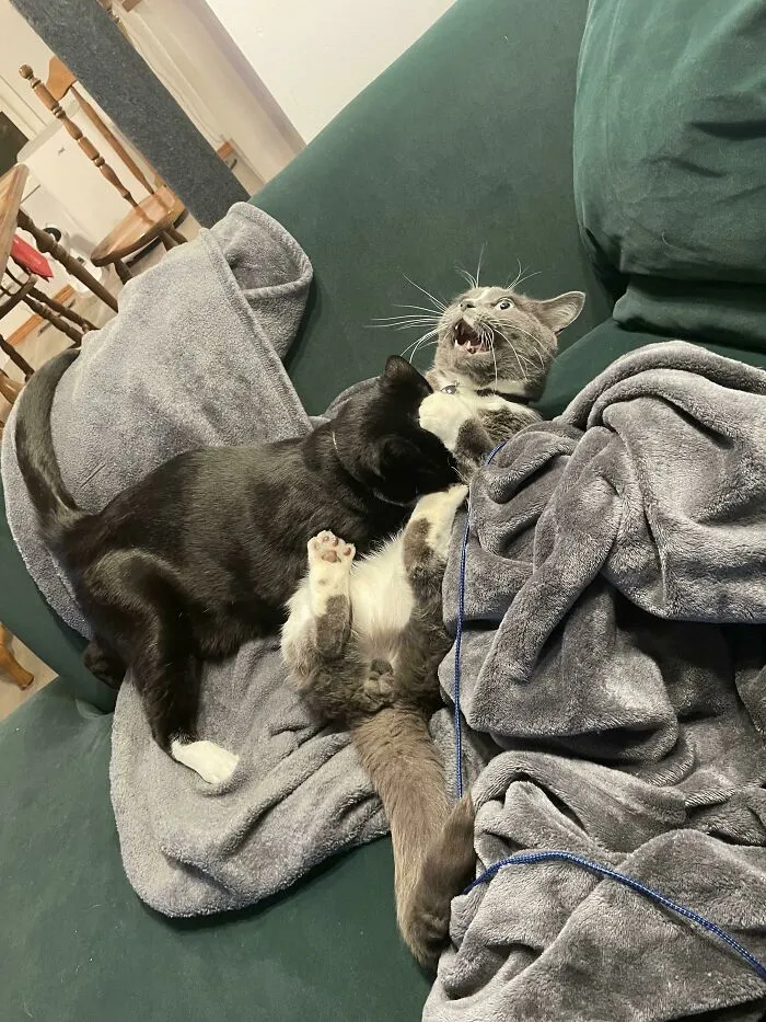 «Какая драма».