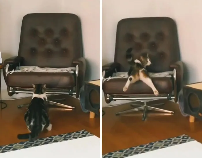 «Идеальная посадка».