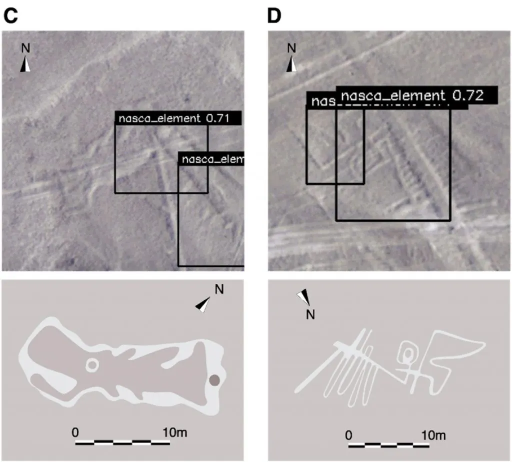 Новые геоглифы, изображающие рыбу и птицу.