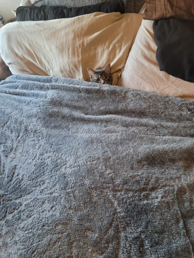 «Это Джолин. Это моя кровать».