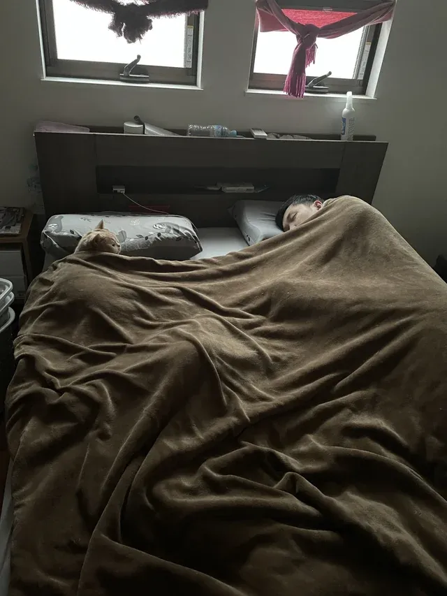 «Иногда твоя жена превращается в кошку».