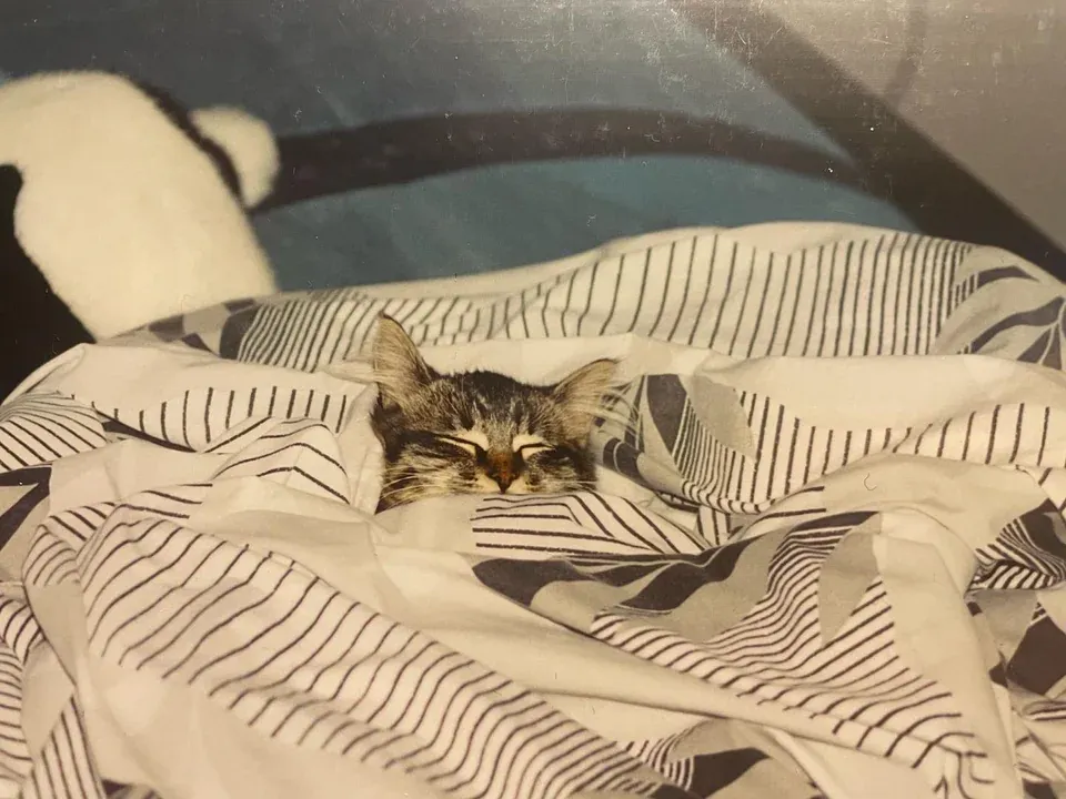 «Я просматривала старые фотографии и наткнулась на укутавшегося младенца».