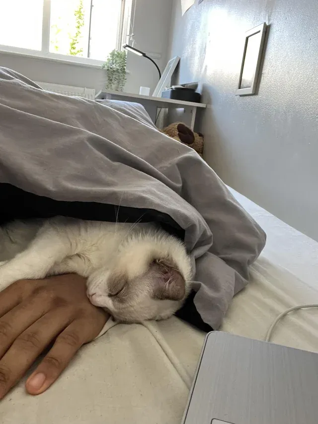 «Теперь моя рука – это подушка».