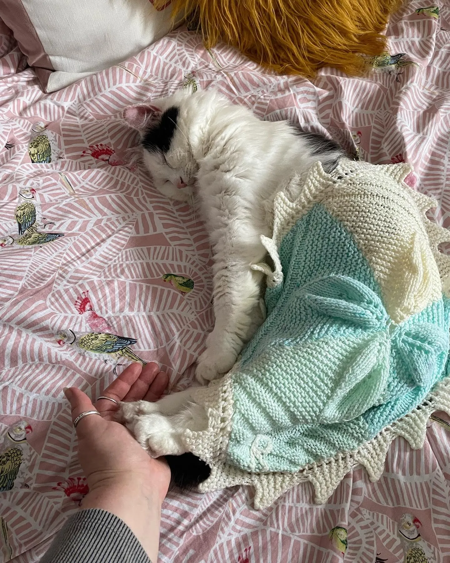 «Моя русалочка в старом мамином одеяле».