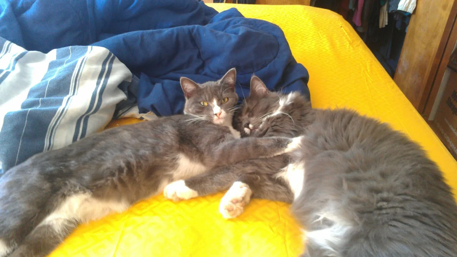 «Это Хаос и Беспредел. Два друга из приюта».