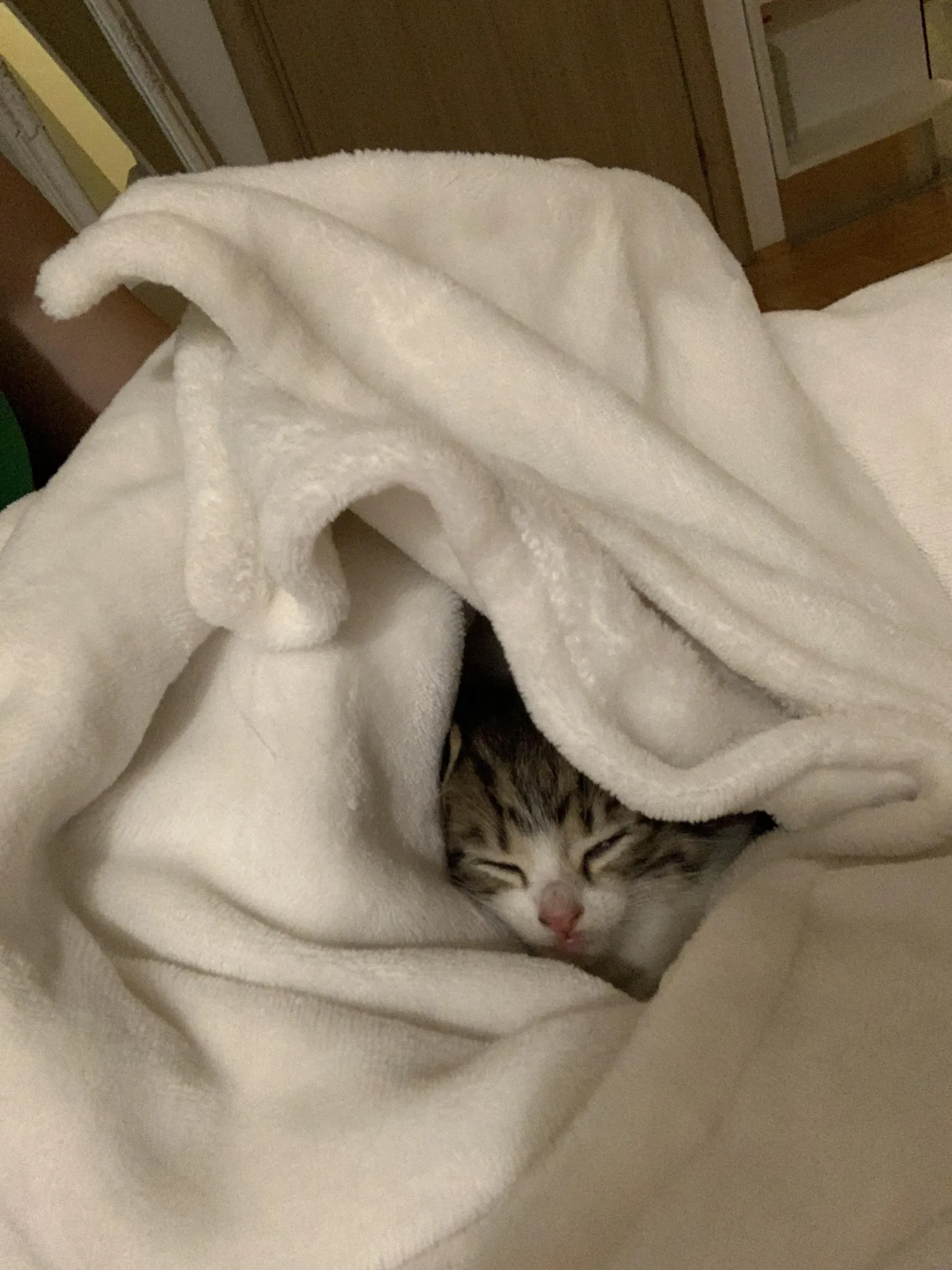 «Этот ребенок спрятался в одеяле».