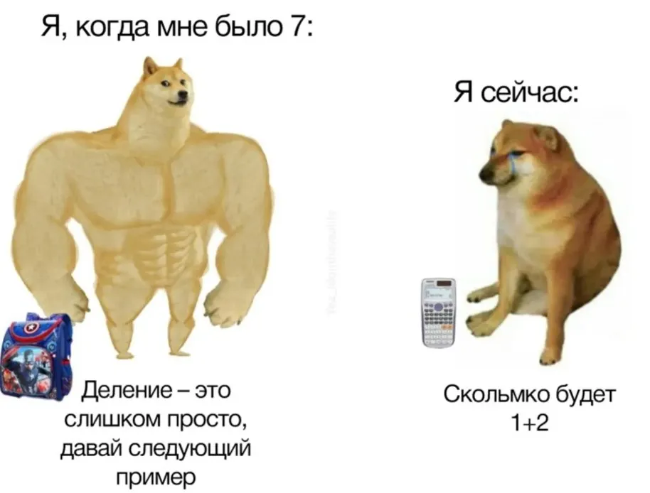 Хорошо, что в телефоне есть калькулятор.