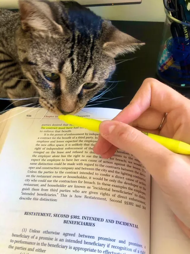 «Он был в восторге от сегодняшнего утреннего материала о бенефициарах».