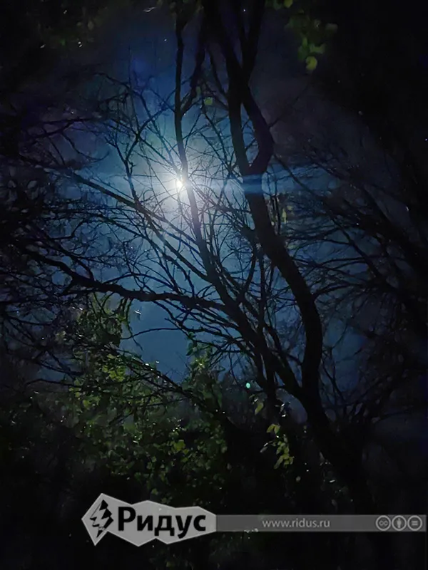 Полнолуние, когда всякая нечисть летает