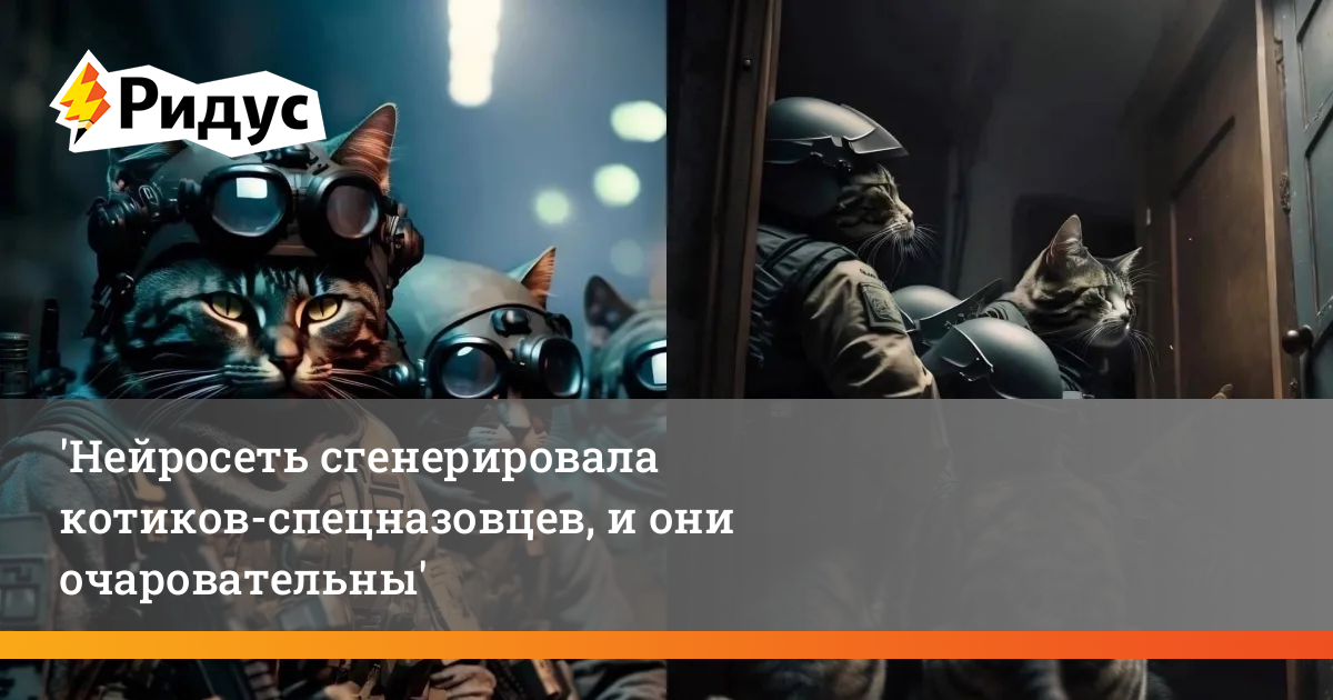 Генератор котиков нейросеть Генератор котиков нейросеть