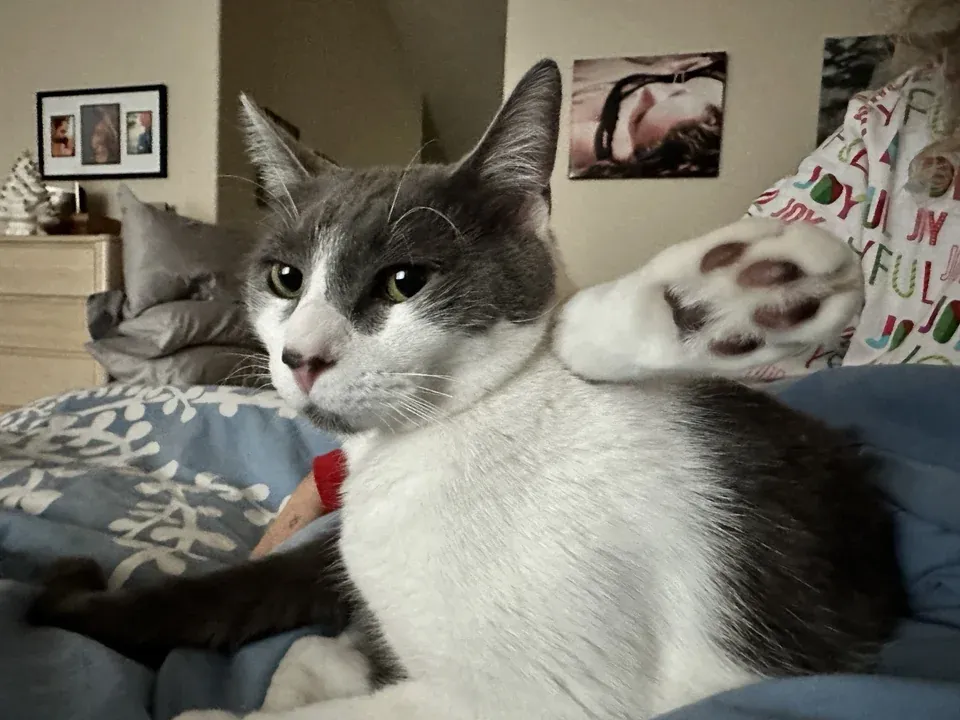 «Оскар просто отдыхал, закинув ногу за голову».