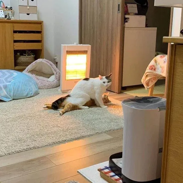 «Здесь не на что смотреть, уходите!»