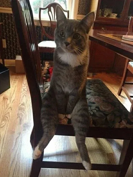 «Ну, расскажи мне, как прошел твой день».