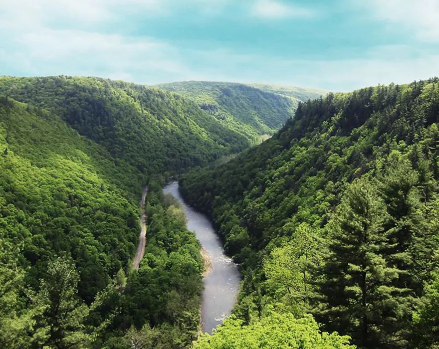 Ущелье Пайн-Крик, также известное как «Большой каньон Пенсильвании» или в местном масштабе как «Каньон».