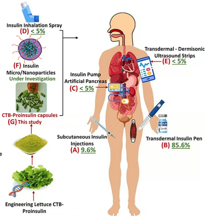 Благодаря генной инженерии инсулиновый салат можно выращивать, а потом превращать в таблетки или даже ингаляторы.